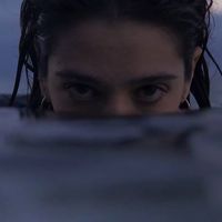 Sarah VR Cohen的照片