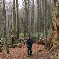 Fotos de Martins Daksa