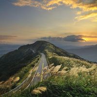 Mohammad Kazemi's Photo