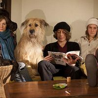 wannes Nimmegeers's Photo