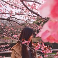 Stephenie Tang的照片