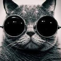 Fotos de Febrianto Setiawan