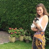 Fotos de Marleen Bosma