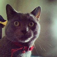 Roberto MonMon's Photo