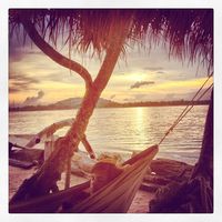 Fotos von Dries Uman