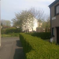 Wellington De Borba的照片