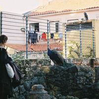 Elizabeth Elizabeth's Photo