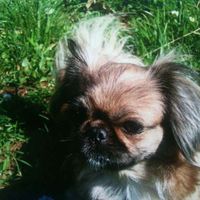 Nataša Velenik's Photo