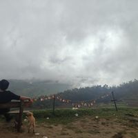 GEET ADATIYA's Photo