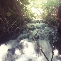 Photos de Gal Shaked