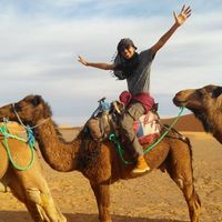 Milton Fonseca's Photo