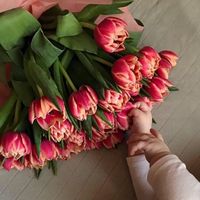 Fotos von Olya Mindiashvili