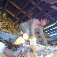 Frida Hastbacka's Photo