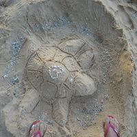 Lisa  Summers's Photo