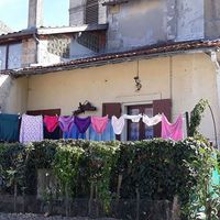 Cynthia Vaughan的照片