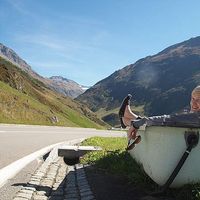 Britt Johnsen's Photo