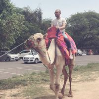 Ettore Settanni's Photo