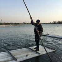 Fotos de Andrew Welch