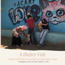 A Free Visit To Animal Shelters's picture