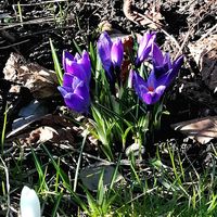 Алёна Гаврик's Photo