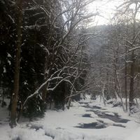 David Luashvili's Photo