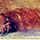Ziad Zoubian's Photo