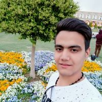 Matin Alipour的照片