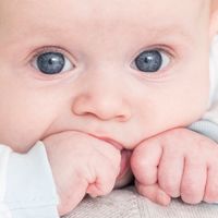 yussuf safi的照片