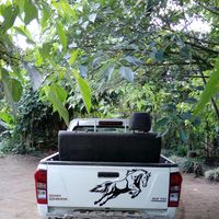 Franky jack kapum的照片