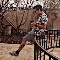 alireza ebrhimi的照片