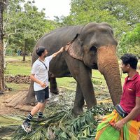 Ferat Sever的照片