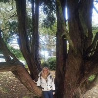 Patricia Lange的照片