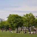фотография CS Ottawa Picnic in Major Hill’s Park