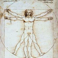 Armin Herian的照片