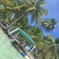 Jonathan Btesh's Photo