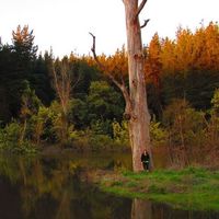 Ámbar Carvallo López的照片