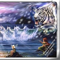 Abdessamad Med的照片