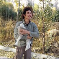 Le foto di Shai Gilboa