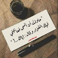 ahmed Ahmed的照片