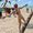 Ira Marinova's Photo
