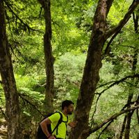 Nick Podaras's Photo