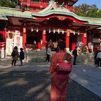 Diana Sheiner's Photo