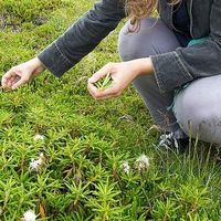 Marie-Claire Findlay-Brook's Photo