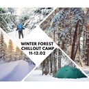Winter Forest Chillout Camp 's picture