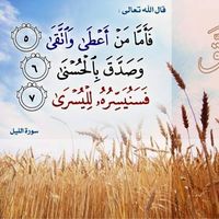 Le foto di Sawsan Tayyan