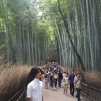 Fotos de Shuto Kagei