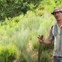 christian gómez's Photo