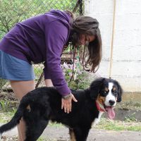 Clara Chardon的照片