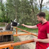 José Carlos Marques的照片