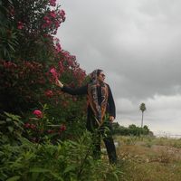 Fotos de deniz alizadeh